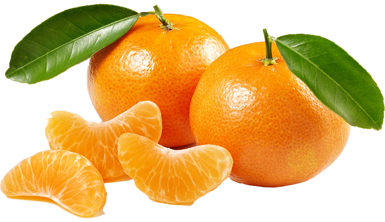 Mandarina